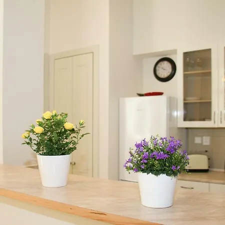 Apartmán Vinohrady Belgicka *