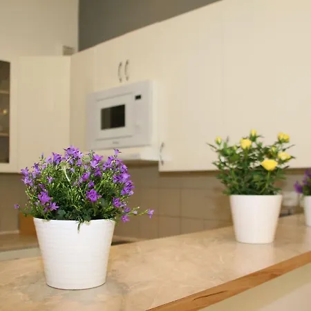 Vinohrady Belgicka Apartmán Praha