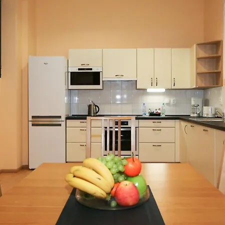 Apartmán Vinohrady Belgicka *